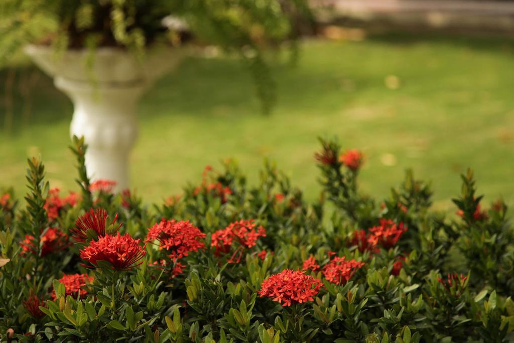 Hotel Jardim フォルタレザ エクステリア 写真