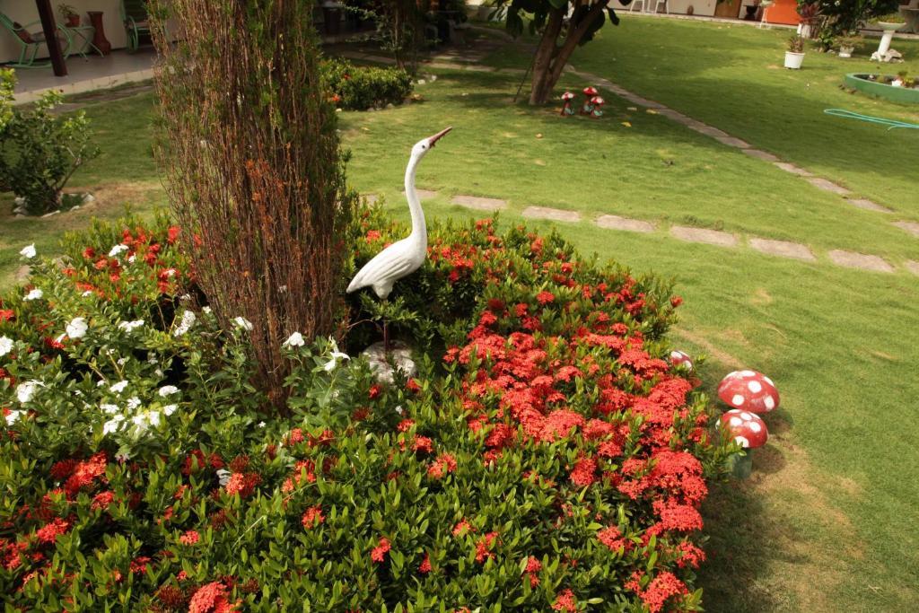 Hotel Jardim フォルタレザ エクステリア 写真