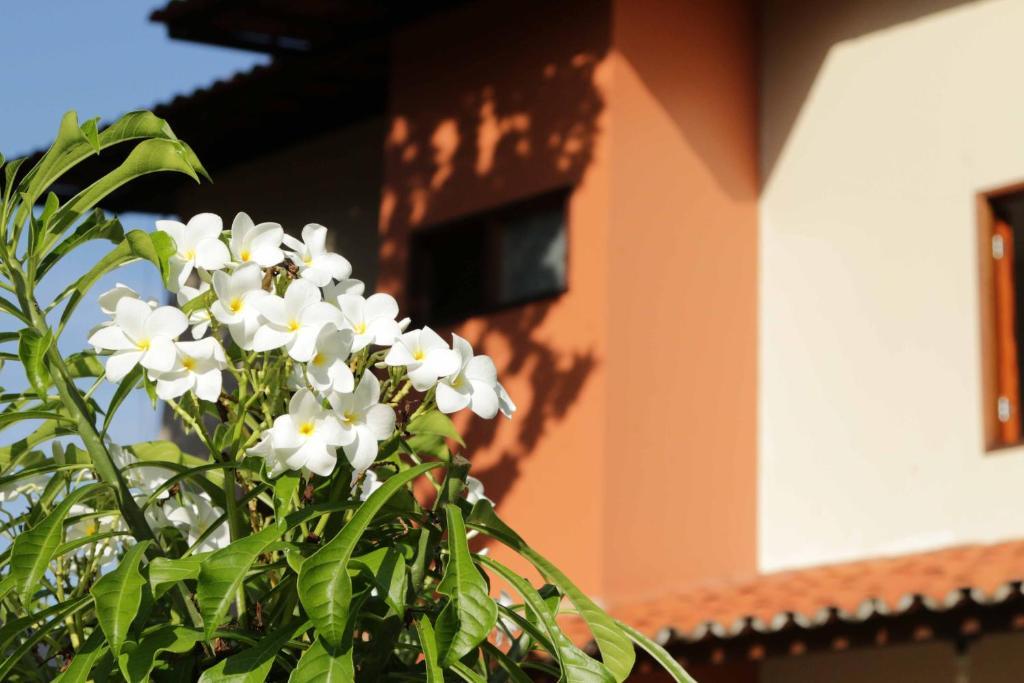 Hotel Jardim フォルタレザ エクステリア 写真
