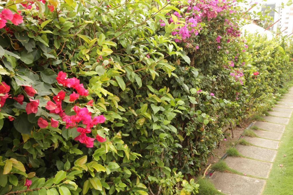 Hotel Jardim フォルタレザ エクステリア 写真