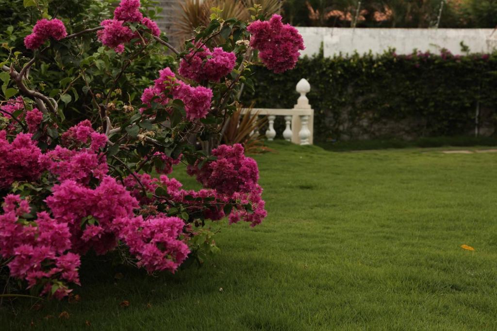 Hotel Jardim フォルタレザ エクステリア 写真