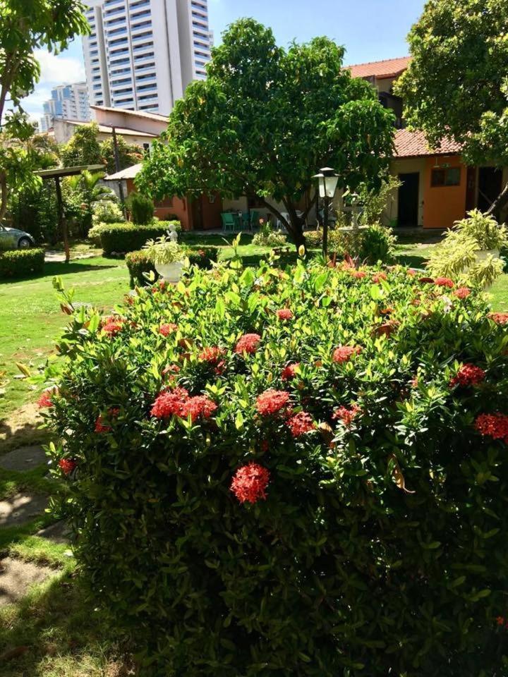 Hotel Jardim フォルタレザ エクステリア 写真